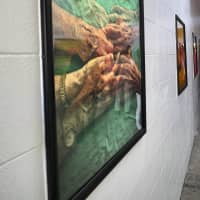 <p>Eight images are a part of the new &quot;Tunnel Vision&quot; art installation in downtown Westport.</p>