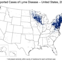 <p>A Centers for Disease Control and Prevention map shows the prevalence of Lyme Disease in Westchester County and the tristate area.</p>