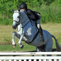 <p>White Plains resident Patricia Griffith rides &quot;Platinum&quot; to victory at the Diamond Mills $500,000 Hunter Prix Final in Saugerties.</p>