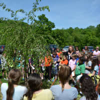 <p>Increase Miller students gather in front of a tree as part of the school&#x27;s 50th anniversary celebration.</p>