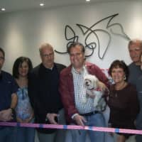 <p>Left to right, at ribbon cutting, Sills, Judy Fix, president of Eastchester/Tuckahoe Chamber of Commerce, Town Councilman Joseph Dooley, Town Councilman Glenn Bellitto, Kathy Muscat, Chamber member, Charles Muscat, Chamber member, and Ben-Adi.</p>