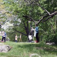 <p>Artists will be inspired by and paint the landscape at Weir Farm National Historic Site as part of the workshop. </p>