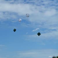 <p>Irvington High School recently celebrated its commencement with 162 graduating students. </p>