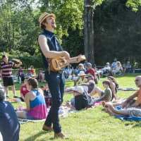 <p>Festival-goers can enjoy a day of live music, workshops and fun. </p>