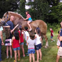 <p>The Somers Historical Society&#x27;s recent Independence Day celebration featured demonstrations by Belgian draft horses. </p>