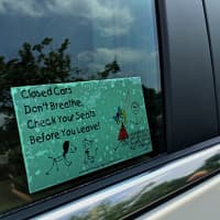 <p>This window decal was thought up by Ridgefield resident Barbara Baughman and her children after the youngest was left in the car for just under an hour with a wide open window. </p>