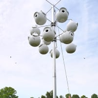 <p>Sherwood Island Nature Center Co-Director Rindy Higgins brings down the nests that were built for the purple martins at the state park. </p>