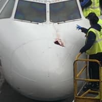 <p>JFK International Airport ground crew members examine the damage on the nose of JetBlue Flight 671, that hit a flock of birds in March.</p>