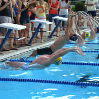 <p>Chappaqua and Briarcliff swimmers take off in a race during a dual meet July 8.</p>