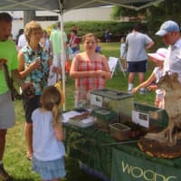 <p>Woodcock Nature Center allowed kids to check out snakes and other animals at the Wilton Street Fair.</p>
