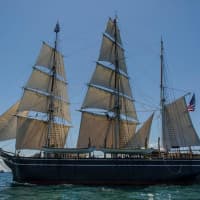 <p>Hartsdale&#x27;s Dr. John Bryant will be one of the scholars sailing on the whaleship Charles W. Morgan in a study of writer Herman Melville.</p>