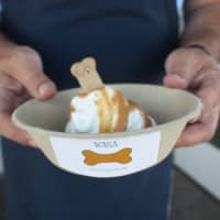 <p>Doggie Sundaes will be available July 20 at Saugatuck Sweets.</p>