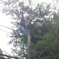 <p>The power pole is still smoldering after a Tuesday morning fire on Ely Avenue in Norwalk. </p>