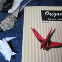 <p>Learn origami at the Marine Education Center. </p>