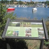 <p>Take a tour of the restored wetland at the edge of Mamaroneck Harbor&#x27;s &quot;West Basin.&quot; </p>