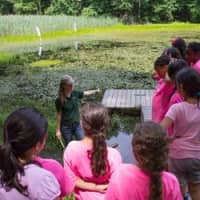 <p>About 24 girls are participating in the Boys &amp; Girls Club of Northern Westchesters SMART Girls summer science program, held every Wednesday through Aug. 6 at Westmoreland Sanctuary in Mount Kisco. </p>