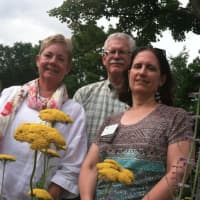 <p>Certified master gardeners, from left, Diana Arbshire, Thomas MacGregor and Rosemary Volpe help in the creation of the Colonial Garden for the Wilton Historical Society at is 224 Danbury Road site.</p>