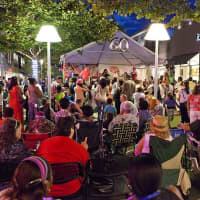 <p>Crowds gathered at Cross County Shopping Centers 60 Years of Summers event to watch live band performances.</p>