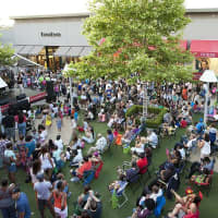 <p>Spectators listened to musical performances at Cross County Shopping Centers 60 Years of Summers event.</p>
