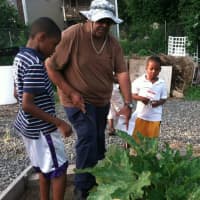 <p>Fairgate Farm manager Bill Callion shows Mardochee Voltaire, 9, left, and Christopher St-Louis, 7, right, a zucchini patch.</p>