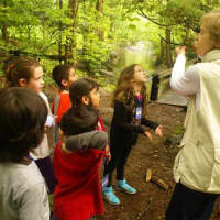 <p>Sheldrake Environmental Center is offering late summer and fall programs for children.</p>