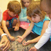 <p>The Chapel School&#x27;s Care Bear Campers were able to touch real fossils.</p>