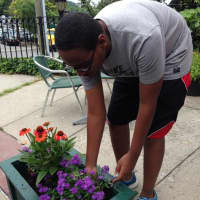 <p>Beautifying the Village of Hastings is a project of the Martin Luther King, Jr. High School student planters.</p>