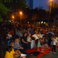 <p>Many residents from Westchester and beyond attended the concert on Court Street. </p>