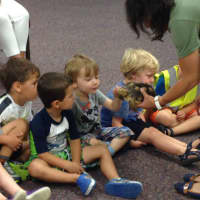 <p>Care Bear Camp provides students with plenty of learning experiences, like the informative program from The Nature of Things.</p>