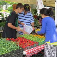 <p>Shoppers at the New Rochelle Down to Earth market.</p>