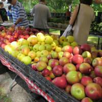 <p>There is a rotating array of seasonal items at the New Rochelle market each week.</p>