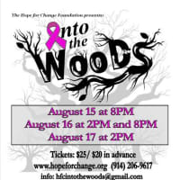<p>The Hope Players will stage three performances of &quot;Into The Woods.&quot;</p>