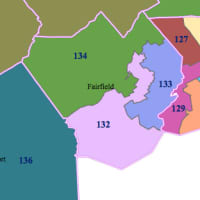 <p>Democrats in Fairfield&#x27;s 133rd House District will vote Tuesday&#x27;s primary between Selectman Cristin McCarthy-Vahey and Democratic Registrar of Voters Matthew Waggner for the Democrat that will end up on the ballot in November.</p>