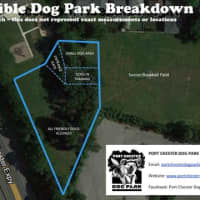 <p>The proposed Port Chester Dog Park came in first in the medium city category in the PetSafe Bark for Your Park competition.</p>