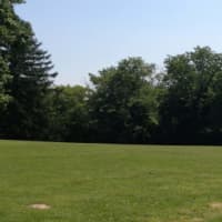 <p>The proposed Port Chester Dog Park would be at Abendroth Park&#x27;s upper level.</p>