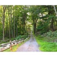 <p>This house at 169 Barnegat Road in Pound Ridge is open for viewing on Sunday.</p>