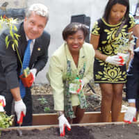 <p>Mayor Spano and Sen. Stewart-Cousins visited the event to assist with planting.  </p>