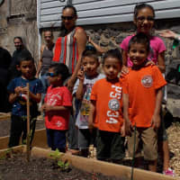 <p>Young children visited the garden to help plant new flowers and plants. </p>