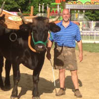 <p>Oxen will make an appearance at the fair as well.</p>