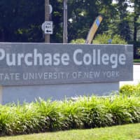 <p>Purchase College received a grant from the National Institutes of Health.</p>