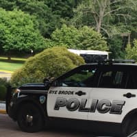 <p>Rye Brook Police on the scene at the Westchester Hilton on Saturday.</p>
