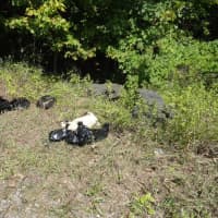 <p>The plastic bags containing decapitated animals that was discovered in Yorktown last week.</p>