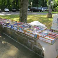 <p>There is a myriad of goods available at the Scarsdale Public Library.</p>