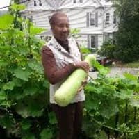 <p>Ardsley gardener Christine Chestnut with the zucchini. </p>
