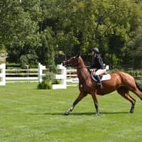 <p>The first day of the 44th annual American Gold Cup was held on Wednesday at Old Salem Farm.</p>