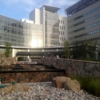 <p>The Peter and Carmen Lucia Buck Pavilion at Danbury Hospital opened in July. It is off Hospital Avenue as well. </p>