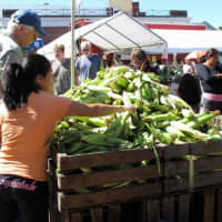 <p>Visitors shop for corn at the Down to Earth Farmers Market. </p>