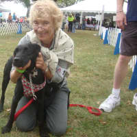 <p>Ana Heller and her dog Odette at Adopt-A-Dog&#x27;s 27th annual Puttin&#x27; On The Dog festival in Greenwich.</p>