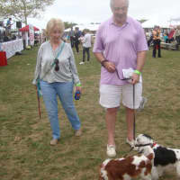 <p>David and Mary Webber of Greenwich with their dogs, Danny and Riley.</p>