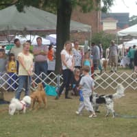<p>Contests were held all day for dogs to compete based on breed, size, costumes and other attributes.</p>